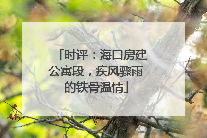 时评：海口房建公寓段，疾风骤雨的铁骨温情