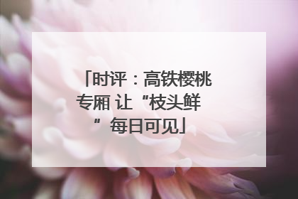 时评：高铁樱桃专厢 让“枝头鲜”每日可见