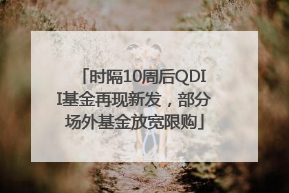 时隔10周后QDII基金再现新发，部分场外基金放宽限购