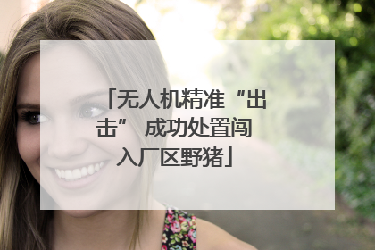 无人机精准“出击” 成功处置闯入厂区野猪