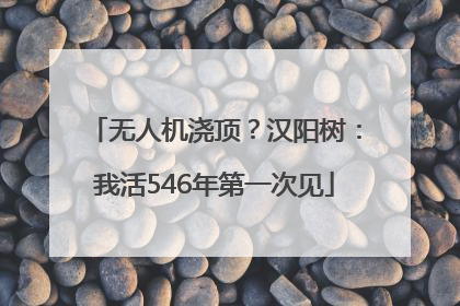 无人机浇顶？汉阳树：我活546年第一次见