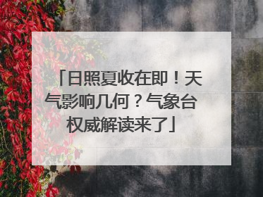 日照夏收在即！天气影响几何？气象台权威解读来了