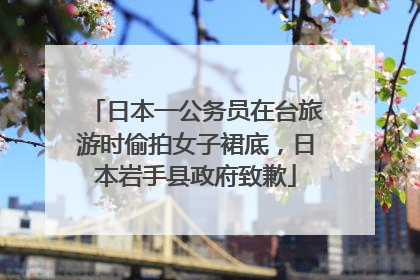 日本一公务员在台旅游时偷拍女子裙底，日本岩手县政府致歉