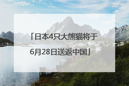 日本4只大熊猫将于6月28日送返中国