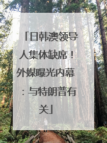日韩澳领导人集体缺席！外媒曝光内幕：与特朗普有关