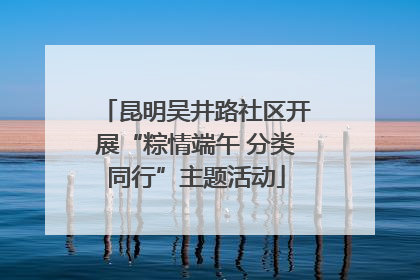 昆明吴井路社区开展“粽情端午 分类同行”主题活动