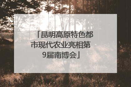 昆明高原特色都市现代农业亮相第9届南博会