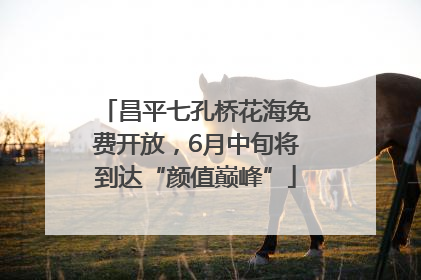 昌平七孔桥花海免费开放，6月中旬将到达“颜值巅峰”