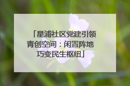 星浦社区党建引领青创空间：闲置阵地巧变民生枢纽