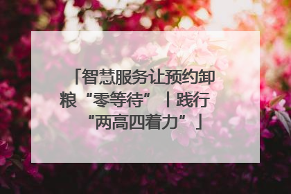 智慧服务让预约卸粮“零等待”丨践行“两高四着力”