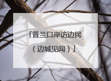 普兰口岸访边民（边城见闻）