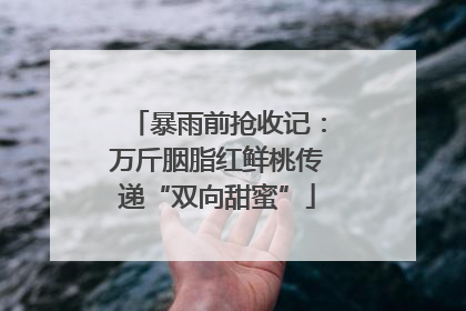 暴雨前抢收记：万斤胭脂红鲜桃传递“双向甜蜜”