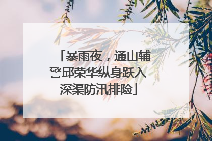 暴雨夜，通山辅警邱荣华纵身跃入深渠防汛排险