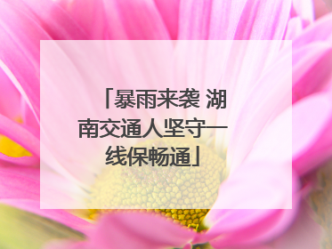 暴雨来袭 湖南交通人坚守一线保畅通