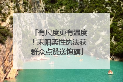有尺度更有温度！耒阳柔性执法获群众点赞送锦旗