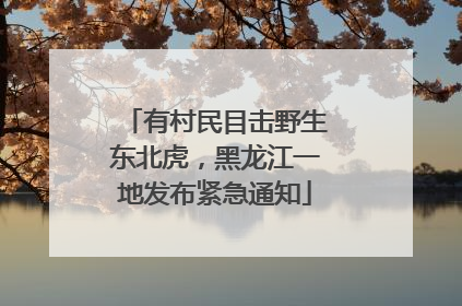 有村民目击野生东北虎，黑龙江一地发布紧急通知