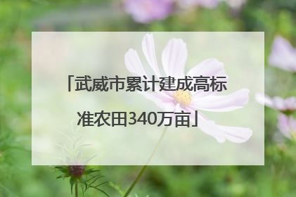 武威市累计建成高标准农田340万亩