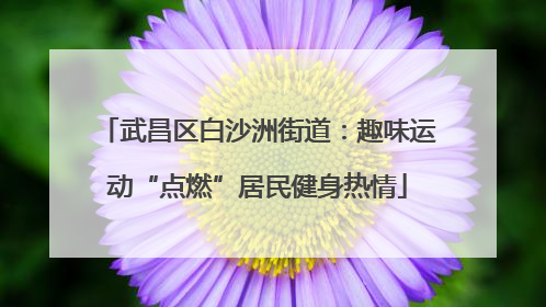 武昌区白沙洲街道：趣味运动“点燃”居民健身热情