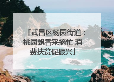 武昌区杨园街道：桃园飘香采摘忙 消费扶贫促振兴