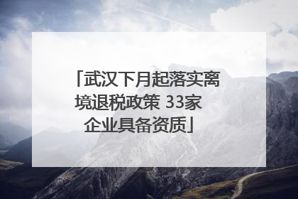 武汉下月起落实离境退税政策 33家企业具备资质