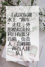 武汉东湖水上“跑车”走红，外形酷似法拉利且有蓝牙音箱，负责人：高峰期一两百人排队