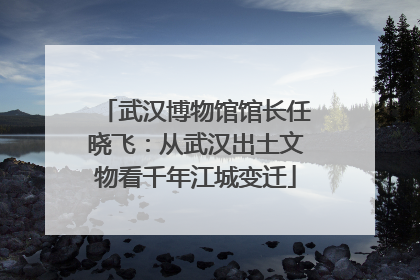 武汉博物馆馆长任晓飞：从武汉出土文物看千年江城变迁