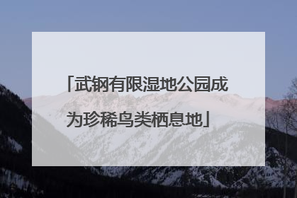 武钢有限湿地公园成为珍稀鸟类栖息地