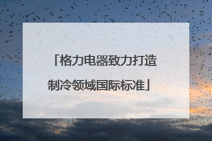 格力电器致力打造制冷领域国际标准