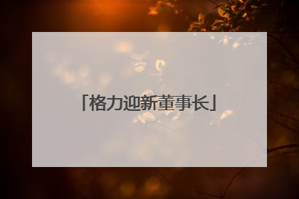 格力迎新董事长