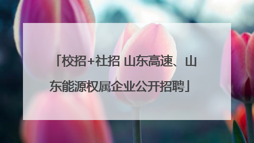 校招+社招 山东高速、山东能源权属企业公开招聘