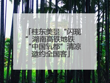 桂东美景“闪现”湖南高铁地铁 “中国氧都”清凉邀约全国客