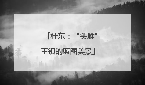 桂东：“头雁”王镇的蓝图美景