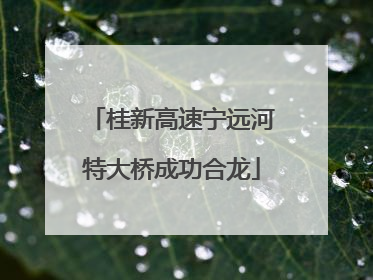 桂新高速宁远河特大桥成功合龙