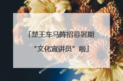 楚王车马阵招募暑期“文化宣讲员”啦