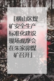 横山区煤矿安全生产标准化建设现场观摩会在朱家峁煤矿召开