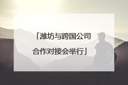 潍坊与跨国公司合作对接会举行
