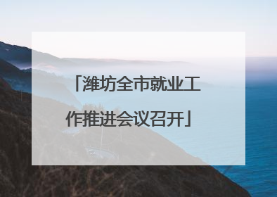 潍坊全市就业工作推进会议召开