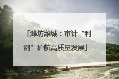潍坊潍城：审计“利剑”护航高质量发展