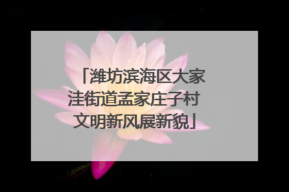 潍坊滨海区大家洼街道孟家庄子村文明新风展新貌