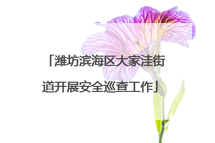 潍坊滨海区大家洼街道开展安全巡查工作