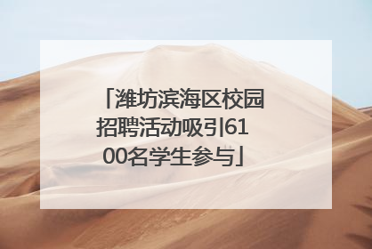 潍坊滨海区校园招聘活动吸引6100名学生参与