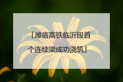 潍宿高铁临沂段首个连续梁成功浇筑