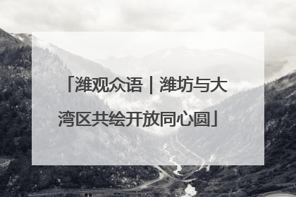 潍观众语｜潍坊与大湾区共绘开放同心圆