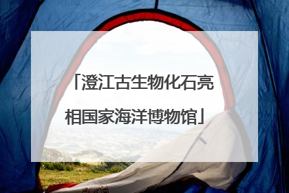 澄江古生物化石亮相国家海洋博物馆