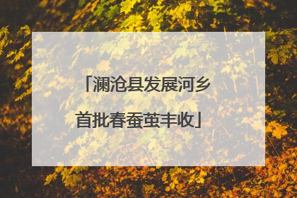 澜沧县发展河乡首批春蚕茧丰收