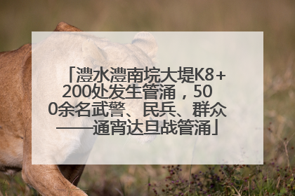 澧水澧南垸大堤K8+200处发生管涌，500余名武警、民兵、群众——通宵达旦战管涌