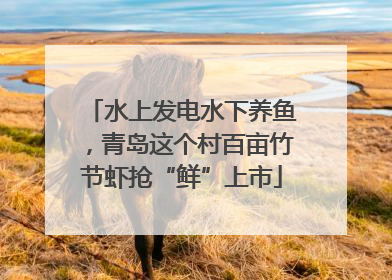 水上发电水下养鱼，青岛这个村百亩竹节虾抢“鲜”上市
