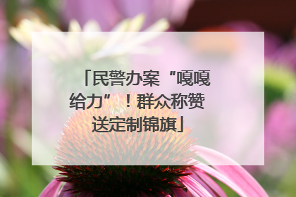 民警办案“嘎嘎给力”！群众称赞送定制锦旗