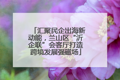 汇聚民企出海新动能，兰山区“沂企联”会客厅打造跨境发展强磁场