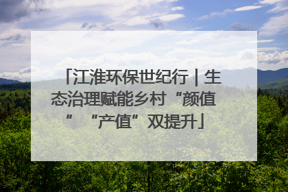 江淮环保世纪行｜生态治理赋能乡村“颜值”“产值”双提升